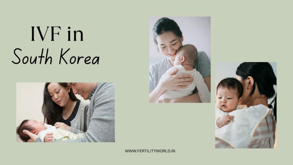 IVF in South Korea Korea IVF success rate| Fertilityworld