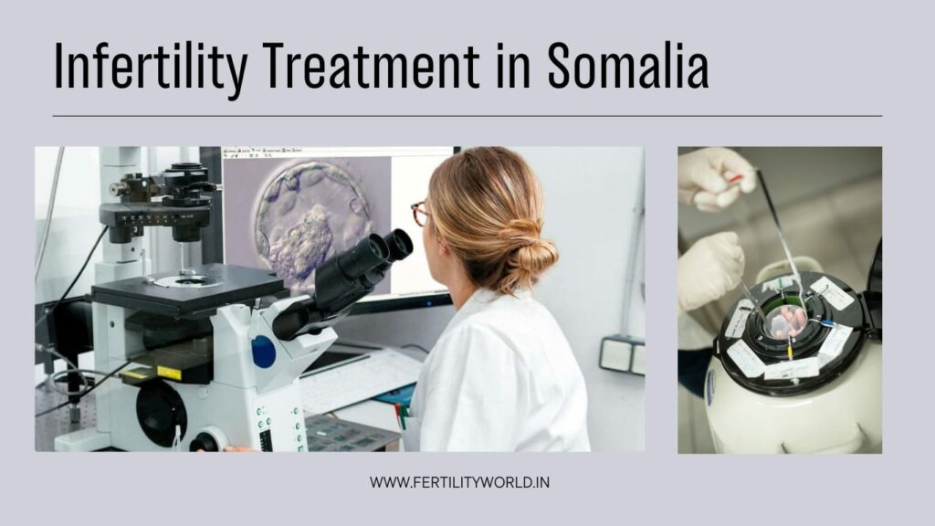 Infertility Treatment In Somalia | Fertilityworld