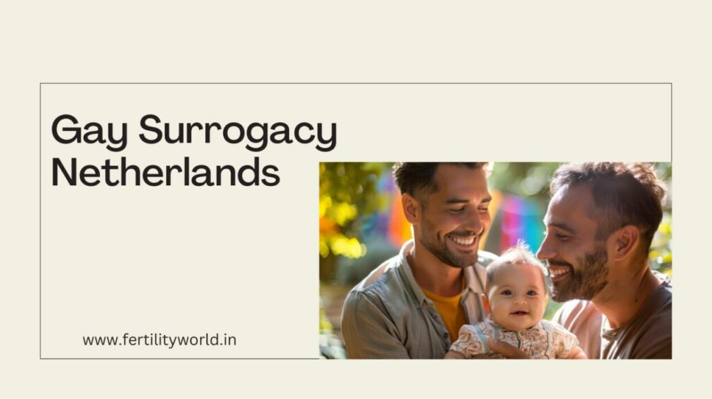 Gay Surrogacy Netherlands | Fertilityworld