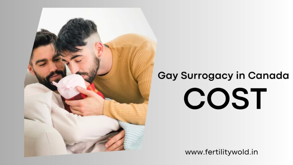 Gay Surrogacy in Canada Cost | Fertilityworld