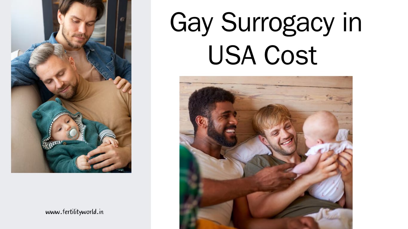 Gay surrogacy in USA cost LGBT surrogacy agency| Fertilityworld