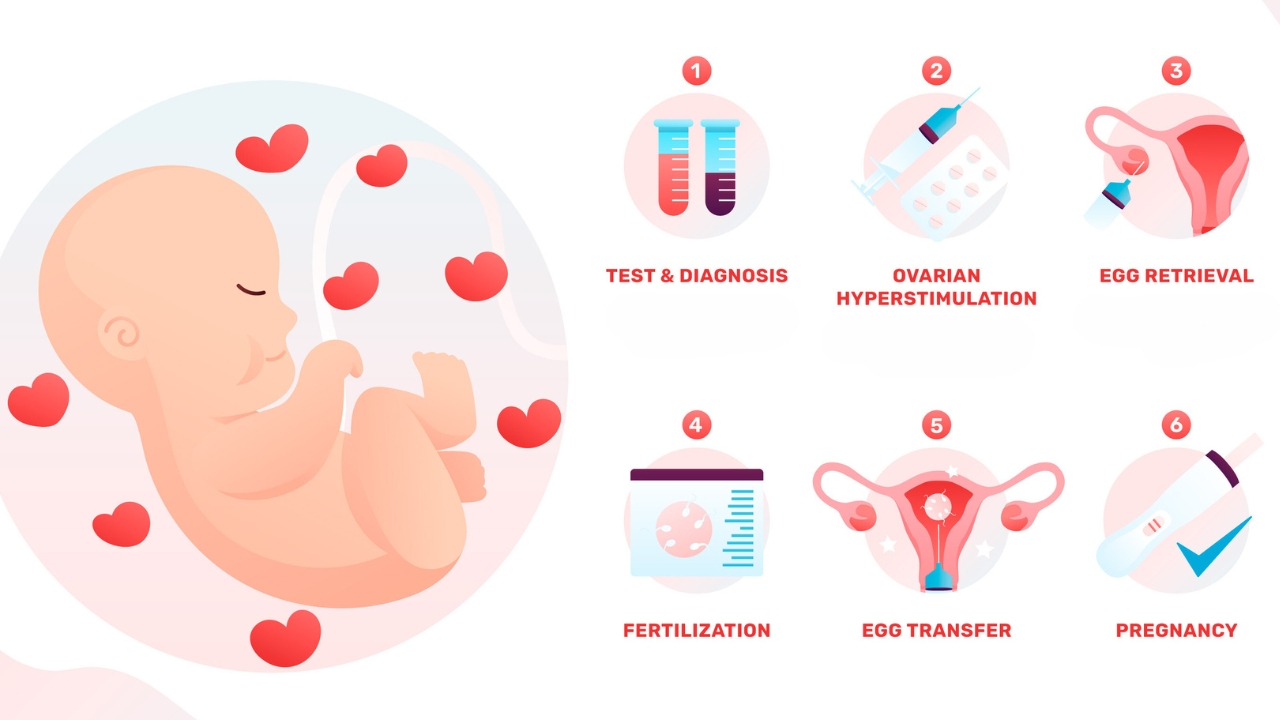 IVF process