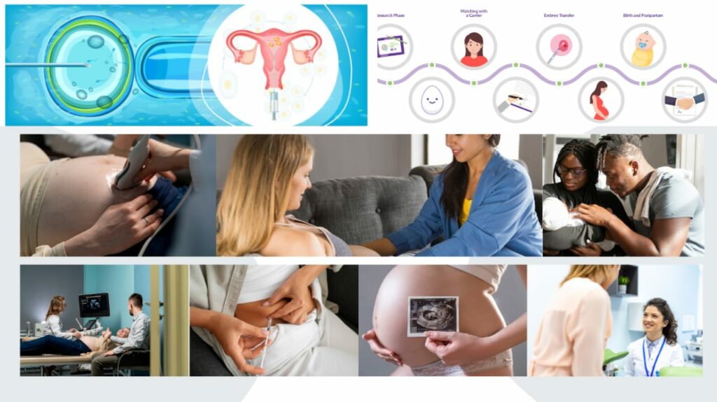 Best countries for IVF success rate | FERTILITYWORLD