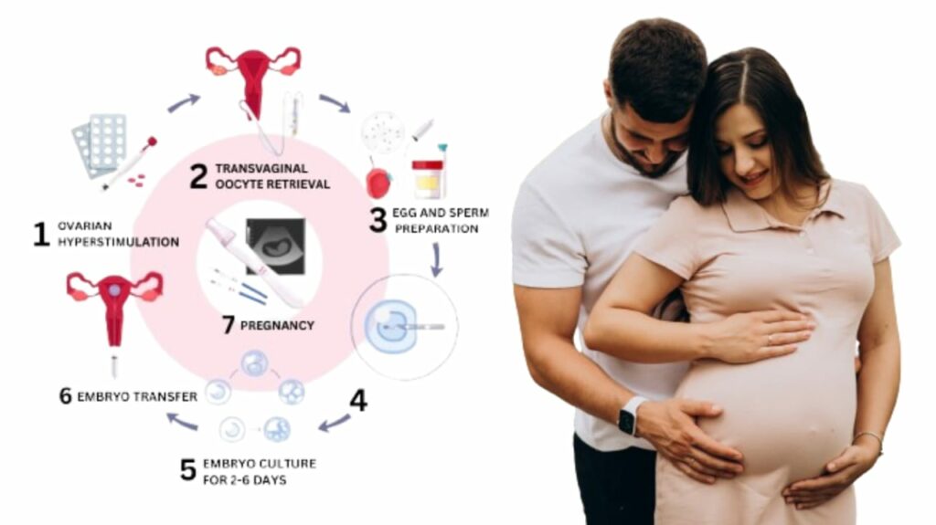 IVF COST IN MAURITIUS| FERTILITYWORLD