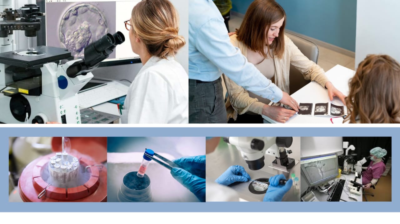 What's the success rate of IVF in India Statistics on IVF | Fertilityworld