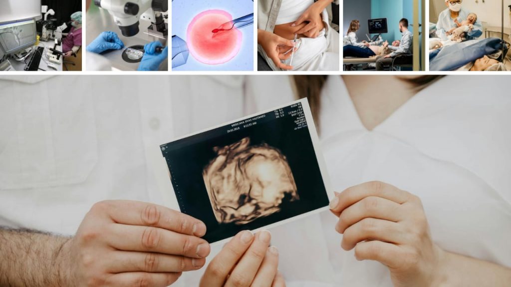 Surrogacy Cost in Mumbai 2025 Best IVF Centers & Success Rates | Fertilityworld