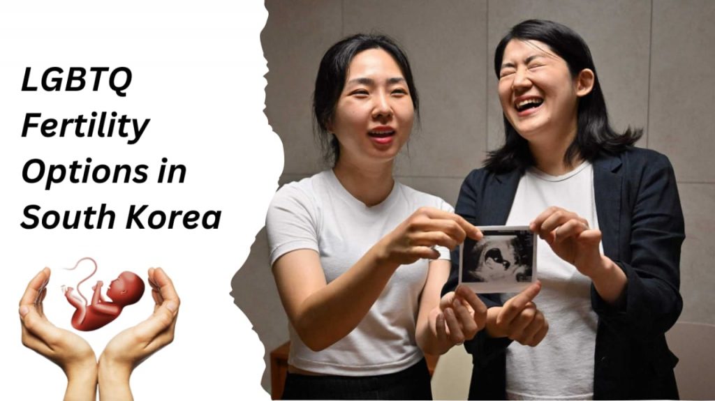 LGBTQ Fertility Options in South Korea| Fertilityworld