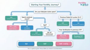 Which Fertility Treatment Is Right for You?